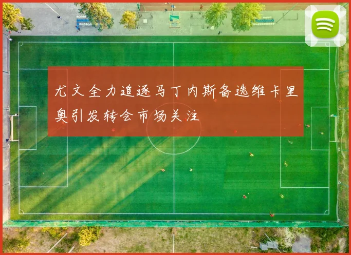 尤文全力追逐马丁内斯备选维卡里奥引发转会市场关注
